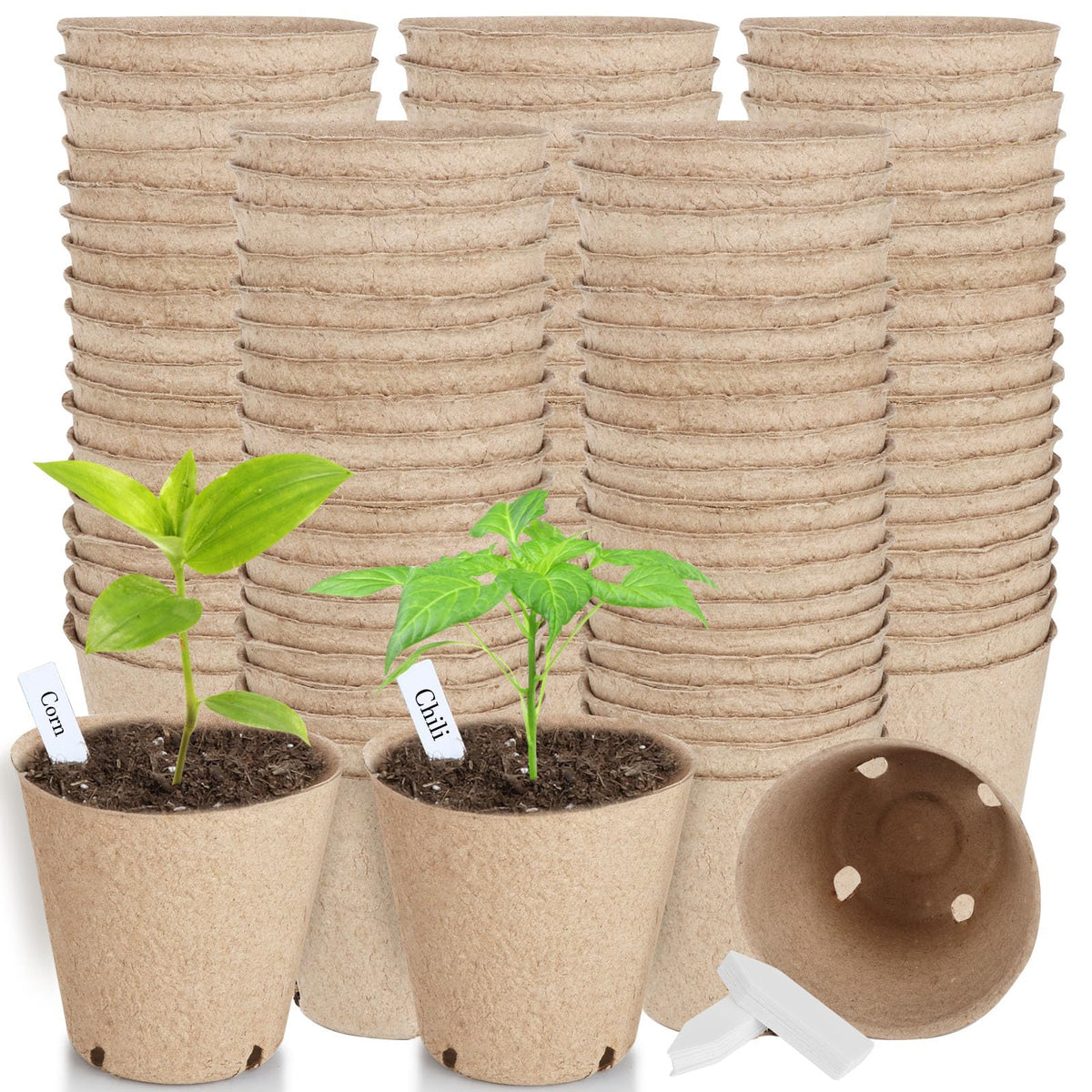 ModaSin 132-pack organic peat pots ready for seed starting and easy transplanting