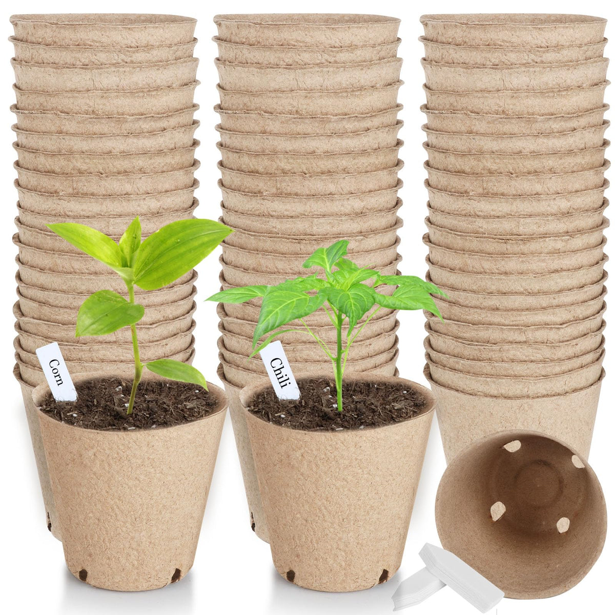 ModaSin 65-pcs organic peat pots bundle for indoor seed starting