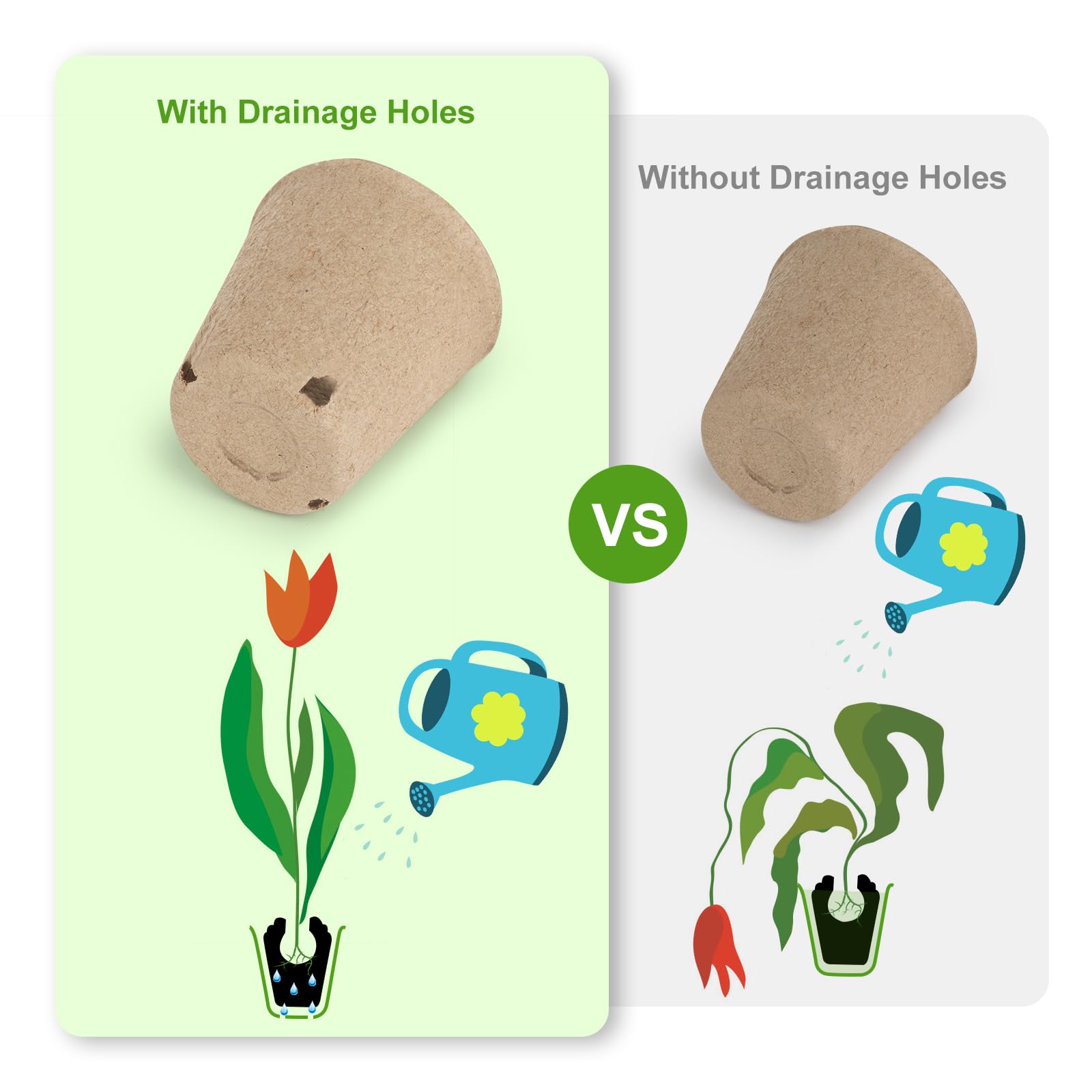 ModaSin biodegradable seed starter pots suitable for eco gardening