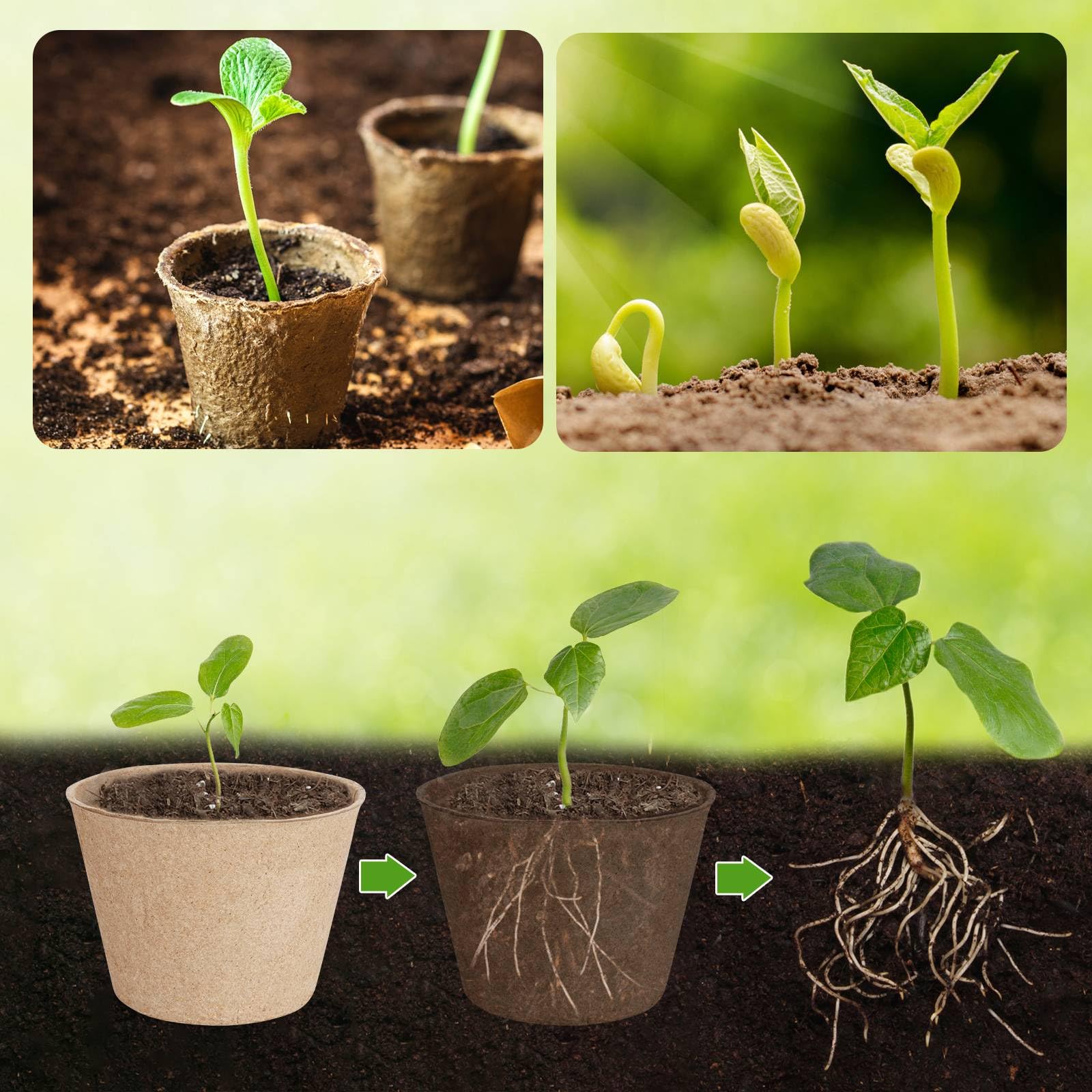 ModaSin round nursery pots designed for seed starting and root health.