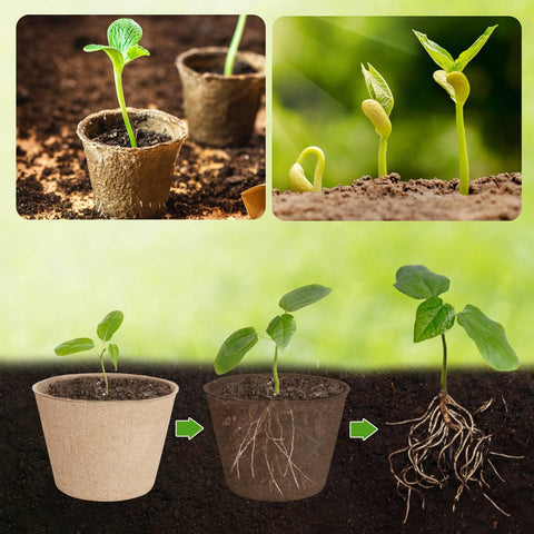 ModaSin round nursery pots designed for seed starting and root health.