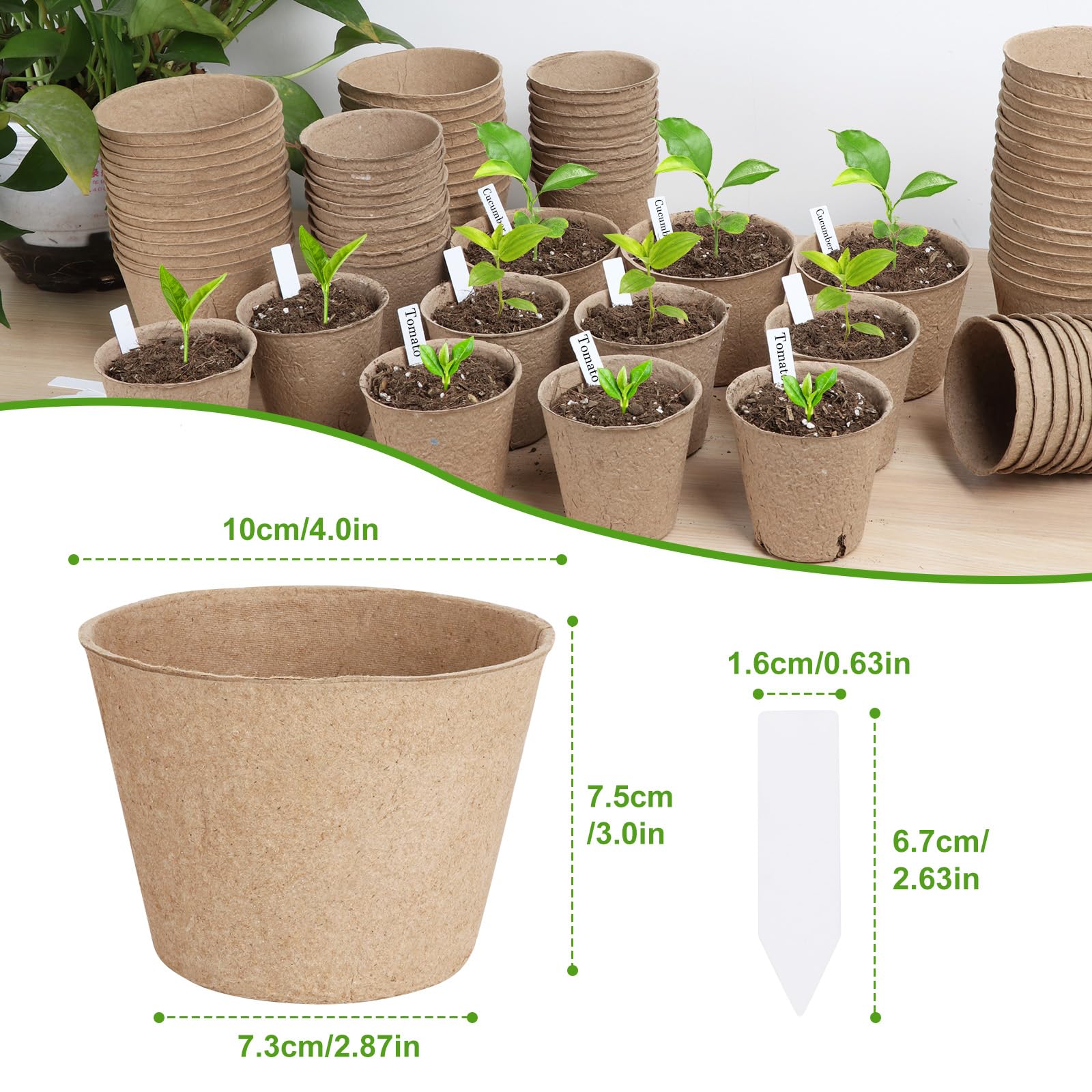 ModaSin easy-transplant seed start kit for home gardens.