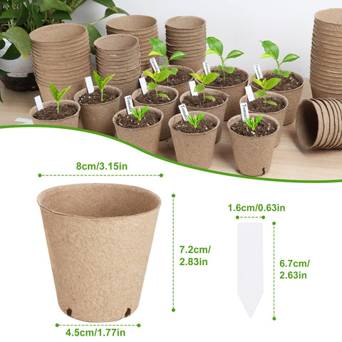 ModaSin eco-friendly seed starting kit for family gardening