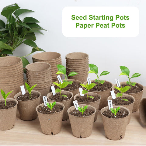 ModaSin seedling pots 3.15-inch demonstrating accessible root growth