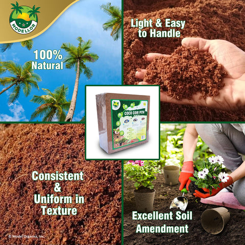 MODELLOR eco-friendly garden choice reduces peat reliance while nourishing plants.
