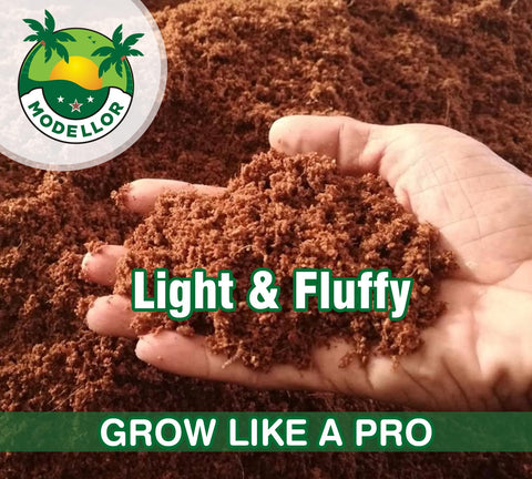 MODELLOR coir brick with fluffy structure supports robust root growth.