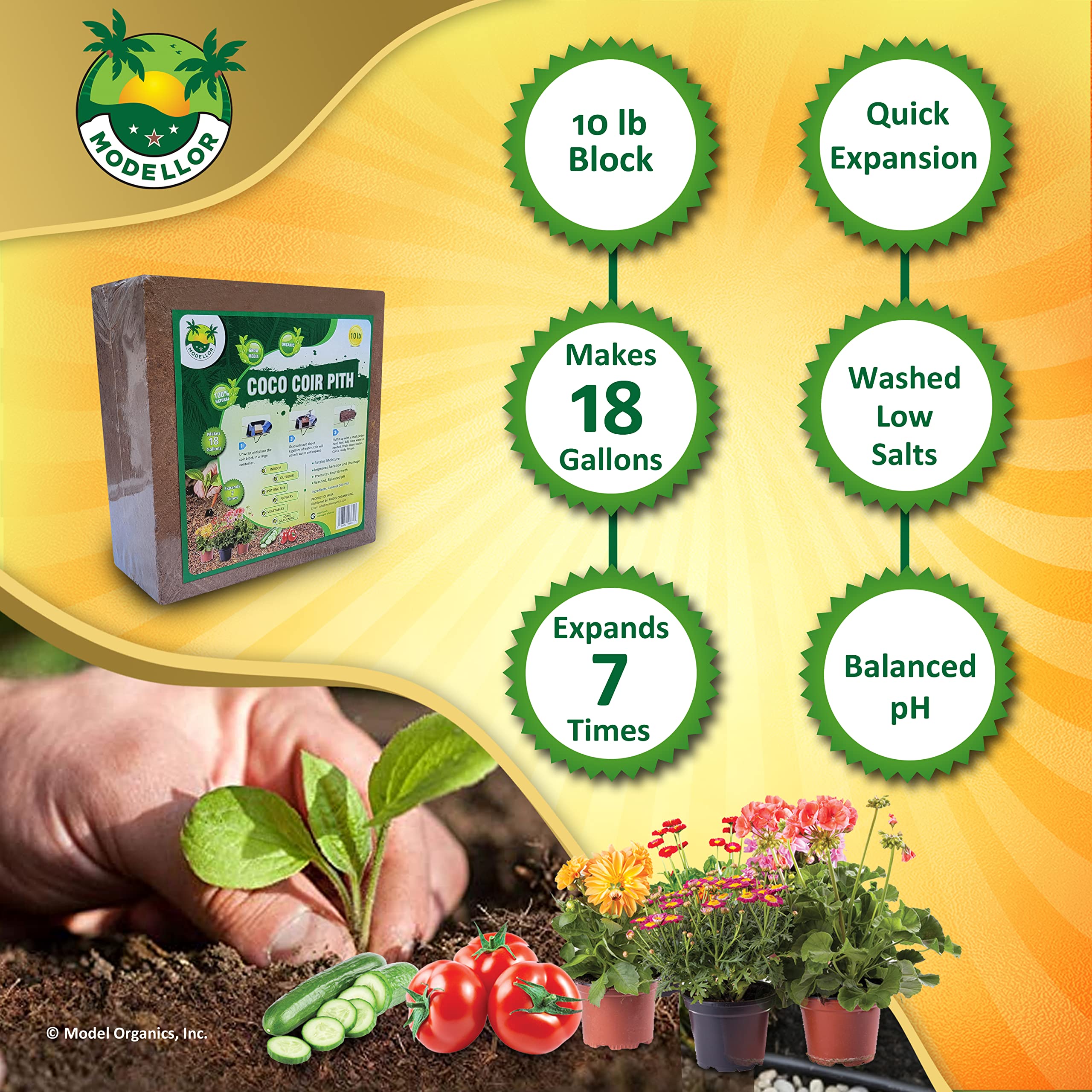 MODELLOR seed-starting medium aids even germination and seedling establishment.