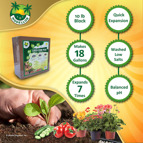 MODELLOR seed-starting medium aids even germination and seedling establishment.
