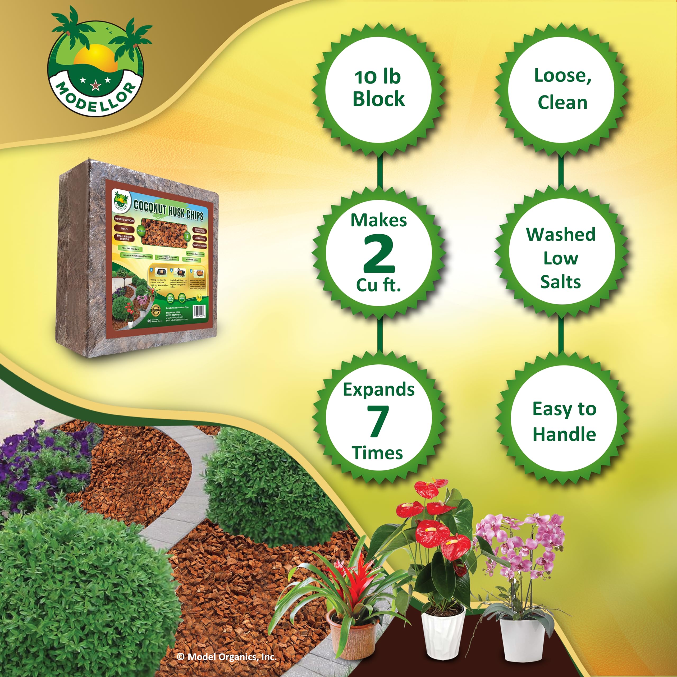 MODELLOR Coco Chips mold resistance supports longer-lasting bedding and substrate.