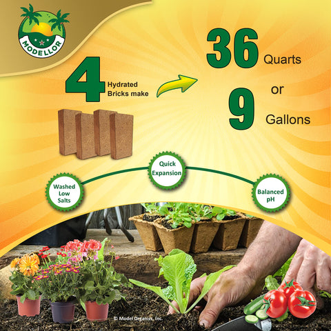 MODELLOR seed-starting coco coir supports uniform germination and healthy roots.