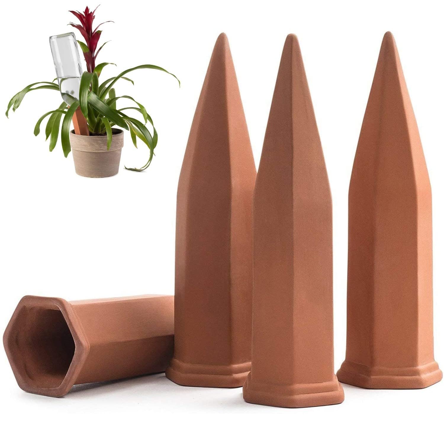 Modern Innovations terracotta self-watering stake setup for easy plant care.