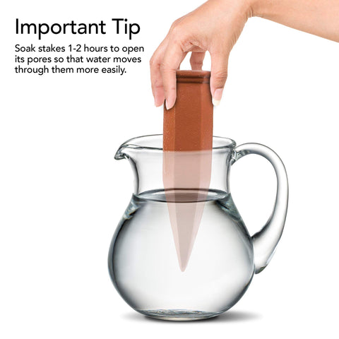 Modern Innovations wine-bottle irrigation system highlights eco-friendly design.