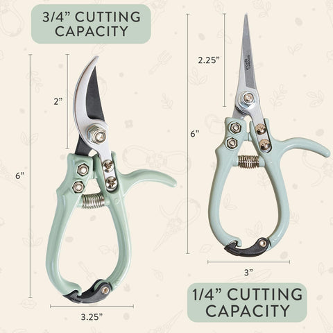 Modern Sprout bypass pruners handle thicker stems without crushing.