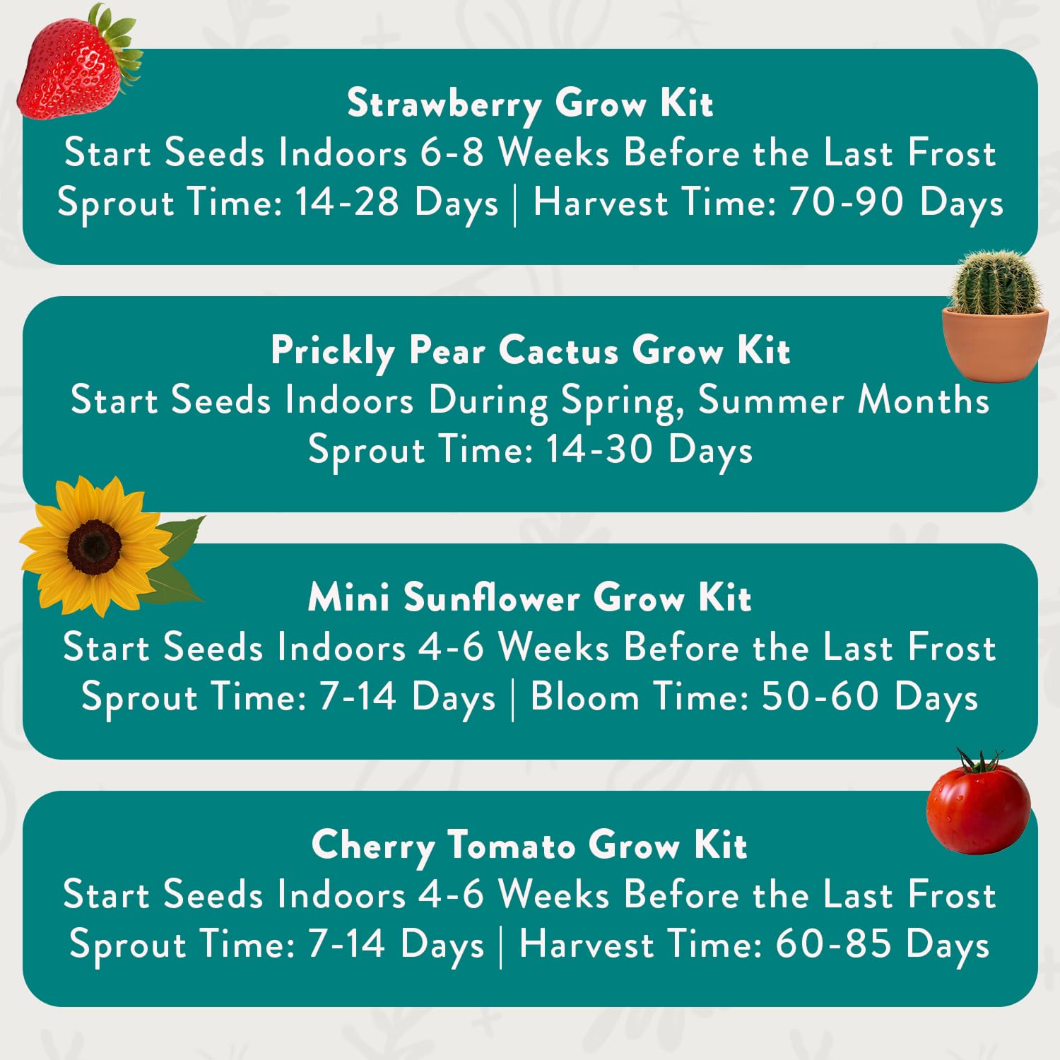 Modern Sprout colorful can design doubles as décor while growing, great gift-ready packaging.