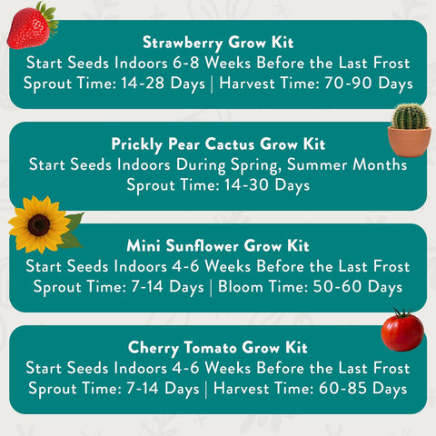 Modern Sprout colorful can design doubles as décor while growing, great gift-ready packaging.