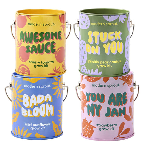 Modern Sprout complimentary color grow kit pack 4 in reusable cans, ideal for beginner indoor gardens.