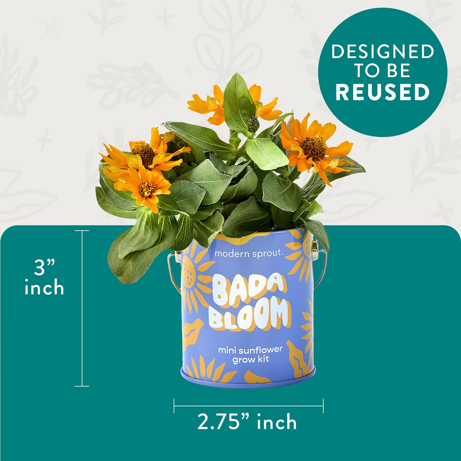 Modern Sprout expandable growing medium included supports quick sprouts and simple care.