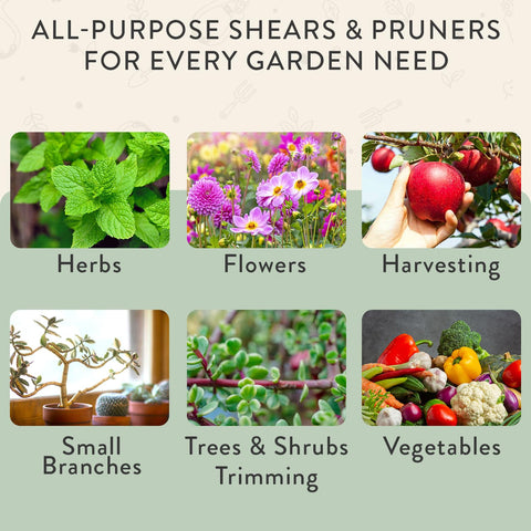 Modern Sprout garden tools set in Sage supports versatile indoor and outdoor tasks.