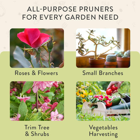 Modern Sprout Hand Pruner perfect for delicate stems like roses and hydrangeas in pots
