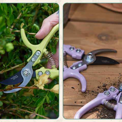 Modern Sprout Ocean deadheading use with precise cuts.