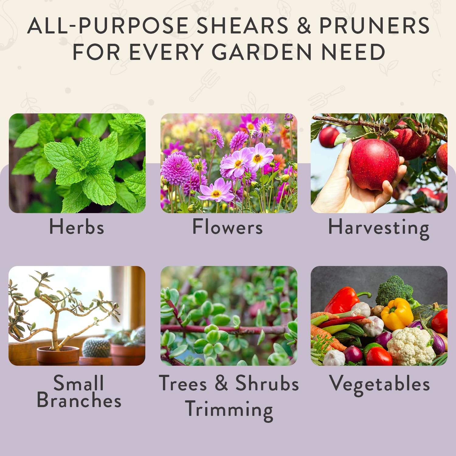 Modern Sprout duo for herbs and flowers trimming