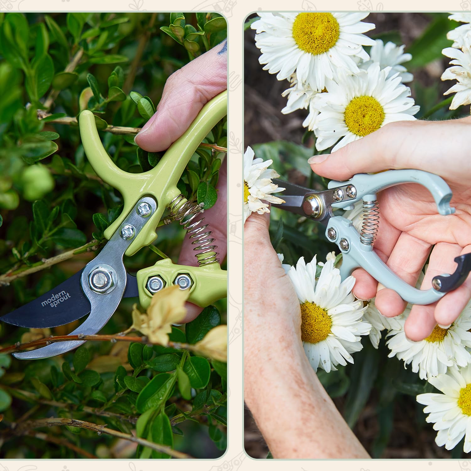 Modern Sprout needle-nose blades enable precise herb snipping.
