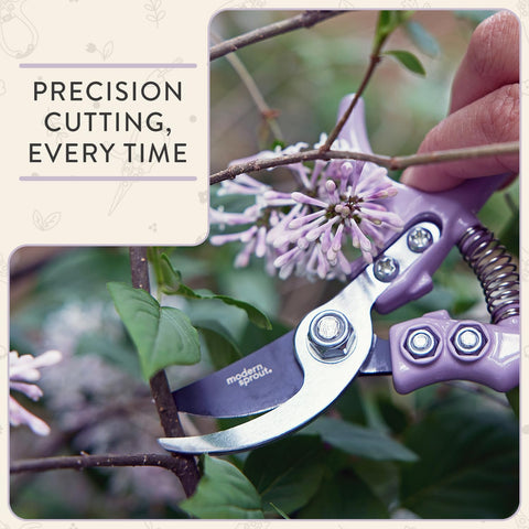 Modern Sprout precision shears with lavender handles for delicate herb snipping