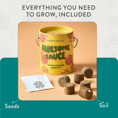 Modern Sprout prickly pear cactus seeds create a tiny low-water indoor garden.