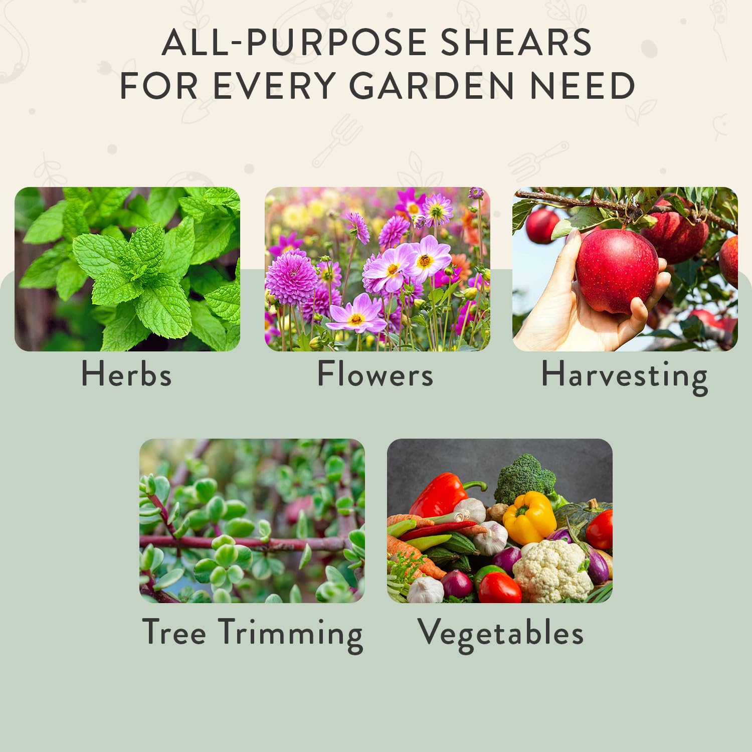Modern Sprout pruning shears compact 6x3 inches for easy movement.