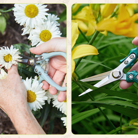 Modern Sprout Pruning Shears ideal for herb cutting like basil and mint.
