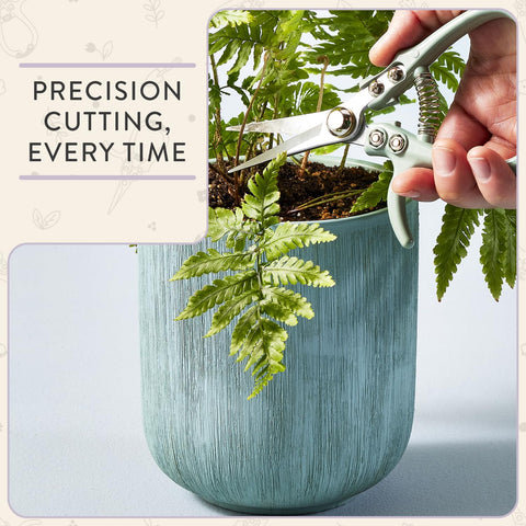 Modern Sprout pruning shears lavender angle cut, precise trimming in tight spaces.