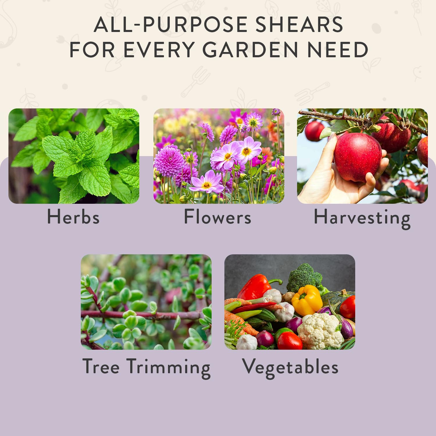 Modern Sprout pruning shears lavender bonsai cut, precise stems without damage.