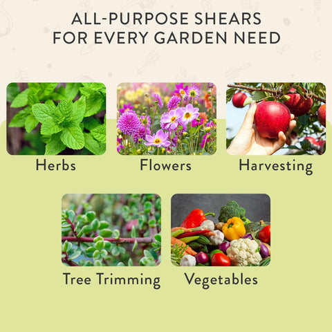 Modern Sprout Pruning Shears lightweight design reduces fatigue during use.