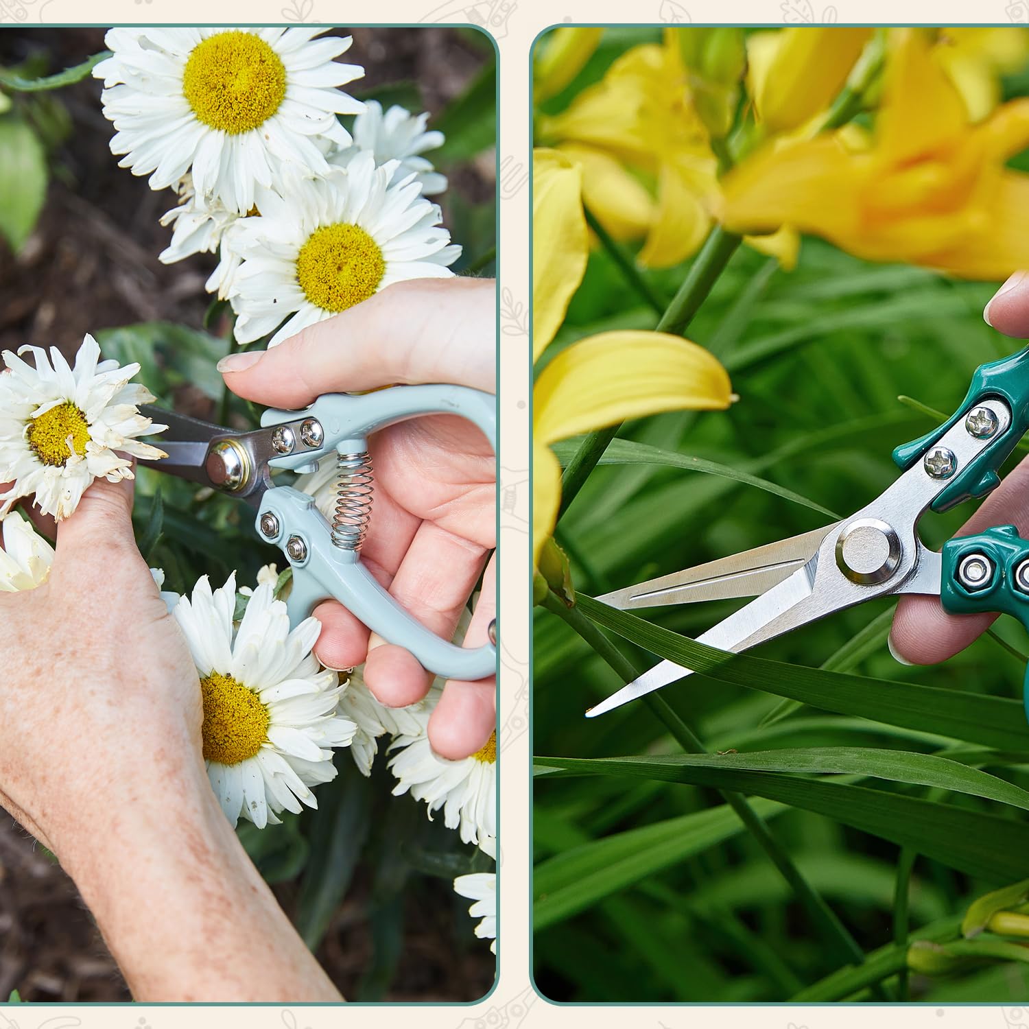 Modern Sprout Ocean pruning shears trim basil with precision