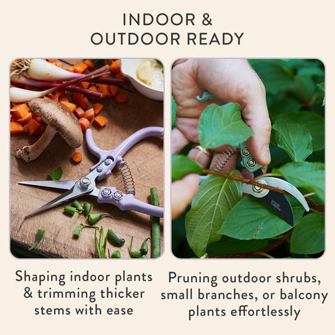Modern Sprout safety lock engaged for safe storage