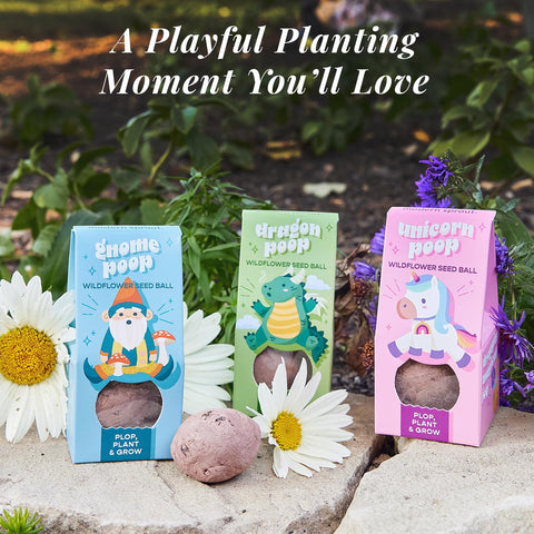 Modern Sprout pack-three design for gifting and planting