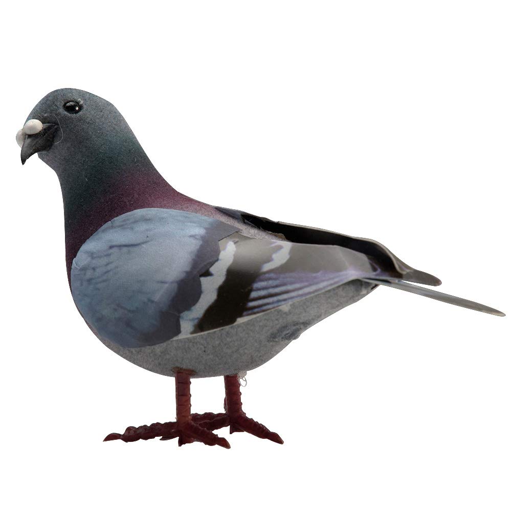 MOFUCA pigeon foam surface texture enhances tactile craft projects.