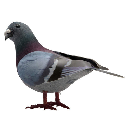 MOFUCA pigeon foam surface texture enhances tactile craft projects.