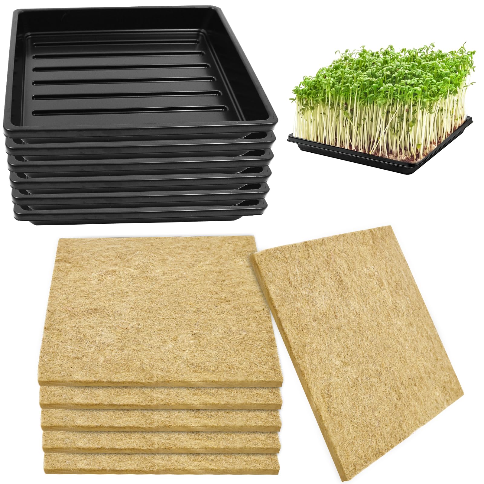 Mofuiry 6Set microgreens mat tray 10in for easy home sprouting.