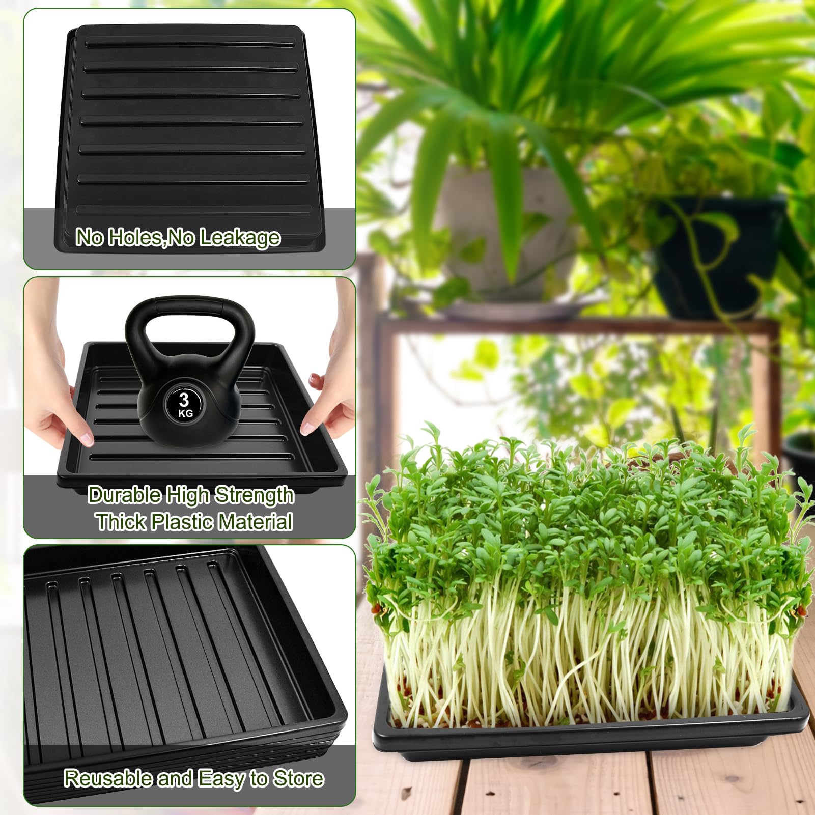 Mofuiry microgreens varieties kit ready for indoor harvests.