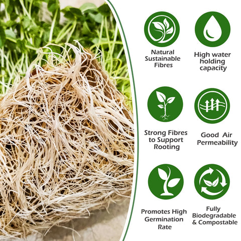 Mofuiry organic hemp fiber mat offers eco-friendly growing surface.