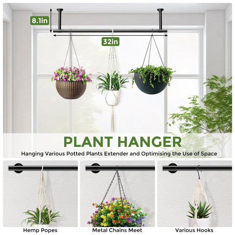 Mogaath kitchen window herbs display highlights easy light access.