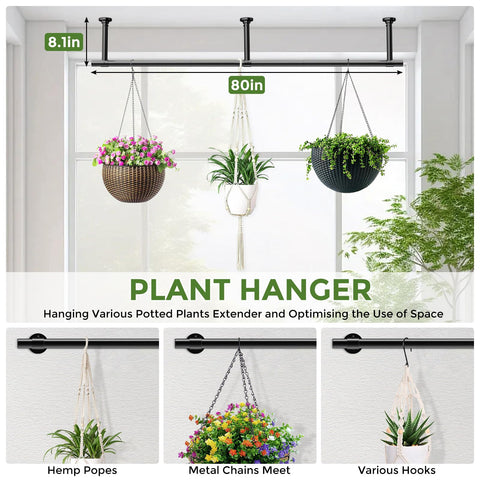 Mogaath space-saving indoor plant display saves floor space