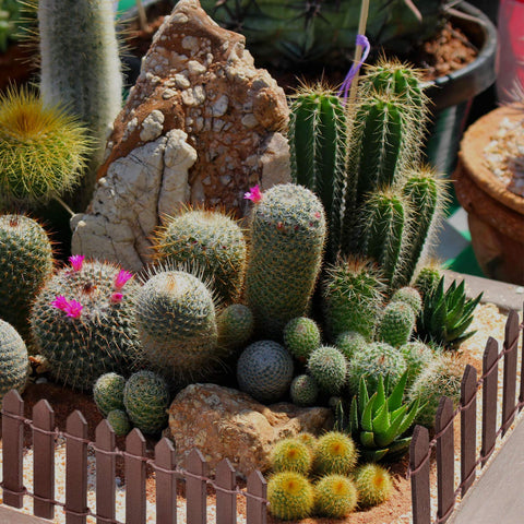 MoHern handcrafted fairy garden fence conveys realistic whimsy for diorama displays