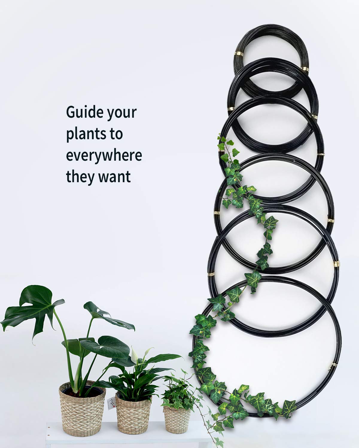 MoHern bonsai wire 3mm coil offers firm, stable structure