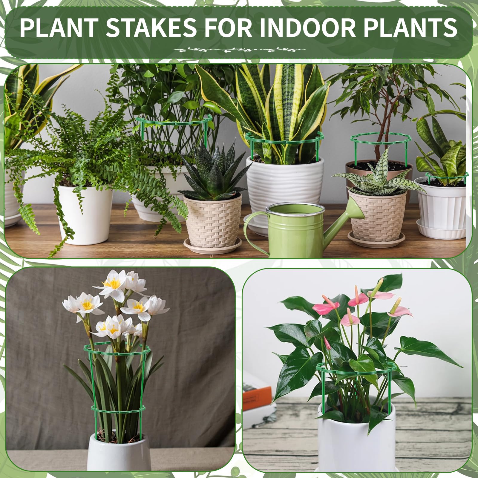 Moiggonoy outdoor and indoor stakes for versatile plant care