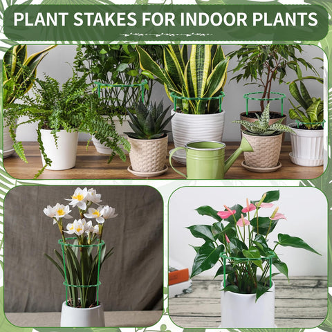 Moiggonoy outdoor and indoor stakes for versatile plant care