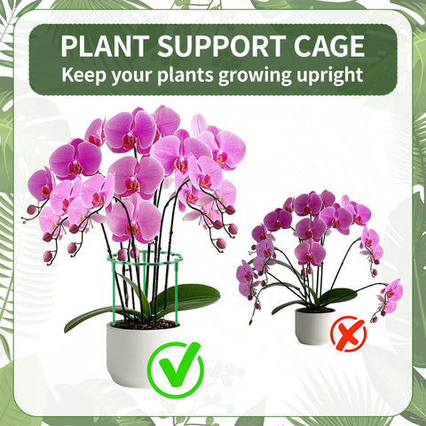 Moiggonoy stackable plant cage design for climbing varieties