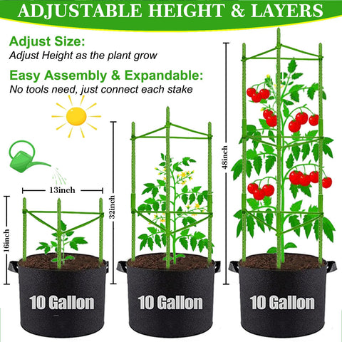 Moirsunt removable breathable grow bags promote easy plant relocation and sun exposure