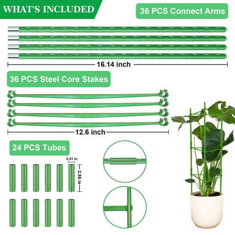 Moirsunt adjustable height tomato support adapts to plant growth